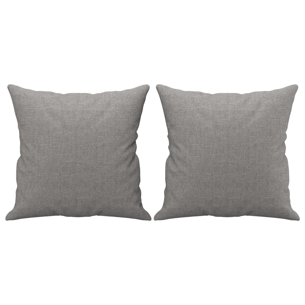 Coussins décoratifs lot de 2 gris clair 40x40 cm