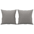 Coussins décoratifs lot de 2 gris clair 40x40 cm