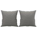 Coussins décoratifs lot de 2 gris foncé 40x40 cm