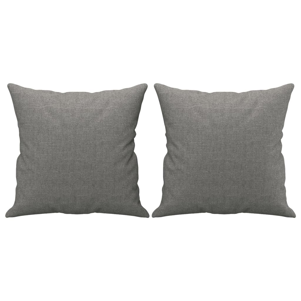 Coussins décoratifs lot de 2 gris foncé 40x40 cm