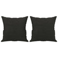Coussins décoratifs lot de 2 noir 40x40 cm